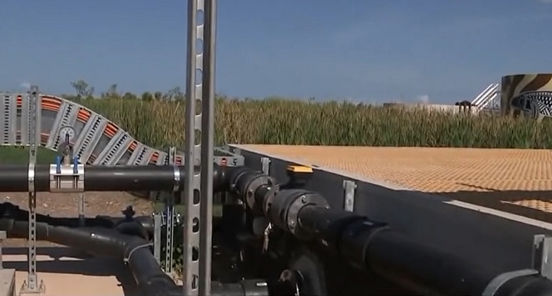 Tưới cỏ bằng nước mưa từng chứa độc chất