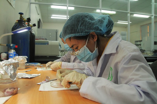 Ngân sách nghiên cứu chỉ hơn 10 triệu đồng/giảng viên/năm