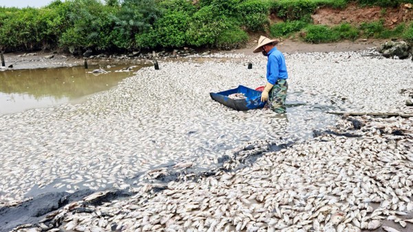 Bắc Giang: Cấp bách bảo vệ tài nguyên nước