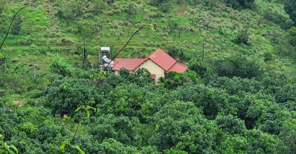 Bình Định: Nhiều quán ăn lấn chiếm, xây dựng không phép dọc QL 1D