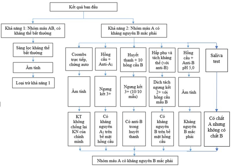 Trường hợp hiếm gặp: Người nhóm máu A và có kháng nguyên B mắc phải Trường hợp hiếm gặp: Người nhóm máu A và có kháng nguyên B mắc phải