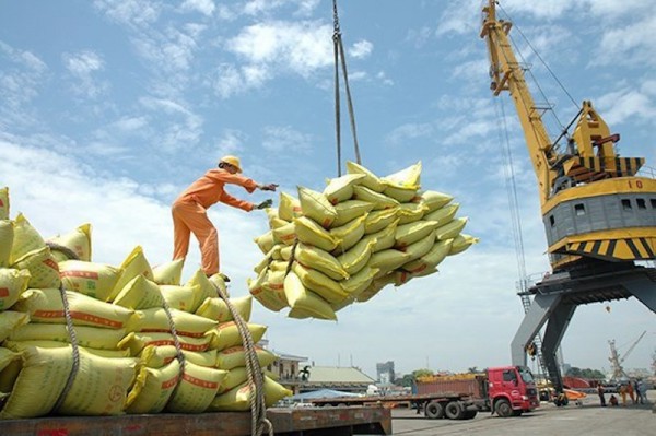 Bài toán khó của ngành nông nghiệp Bài toán khó của ngành nông nghiệp
