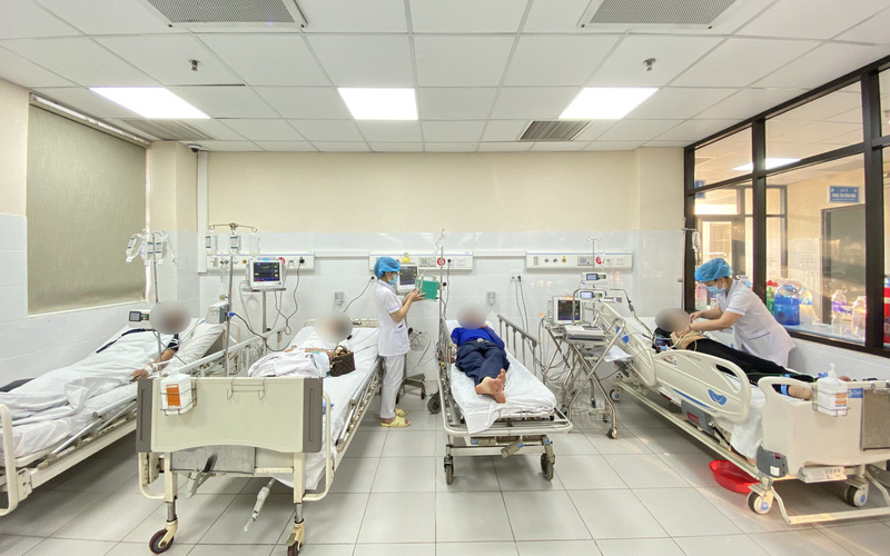 Cấp cứu nhiều bệnh nhân bị ong đốt