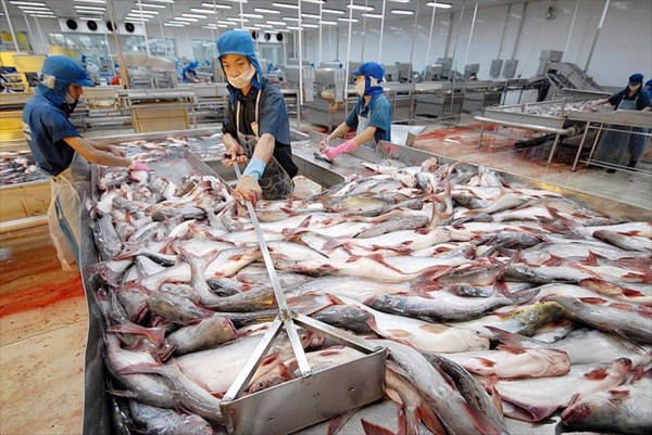 Doanh nghiệp rốt ráo tìm phương kế giữ vị thế xuất khẩu Doanh nghiệp rốt ráo tìm phương kế giữ vị thế xuất khẩu