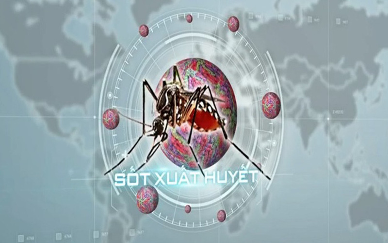 Ghi nhận 5.000 ca mắc sốt xuất huyết, Bình Phước triển khai mạnh mẽ các hoạt động phòng, chống dịch Ghi nhận 5.000 ca mắc sốt xuất huyết, Bình Phước triển khai mạnh mẽ các hoạt động phòng, chống dịch