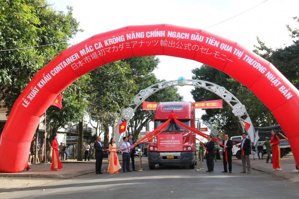 Mắc ca Đắk Lắk vào thẳng siêu thị Nhật