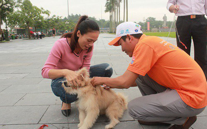 Nghệ An đã ghi nhận 5 ca tử vong do bệnh dại