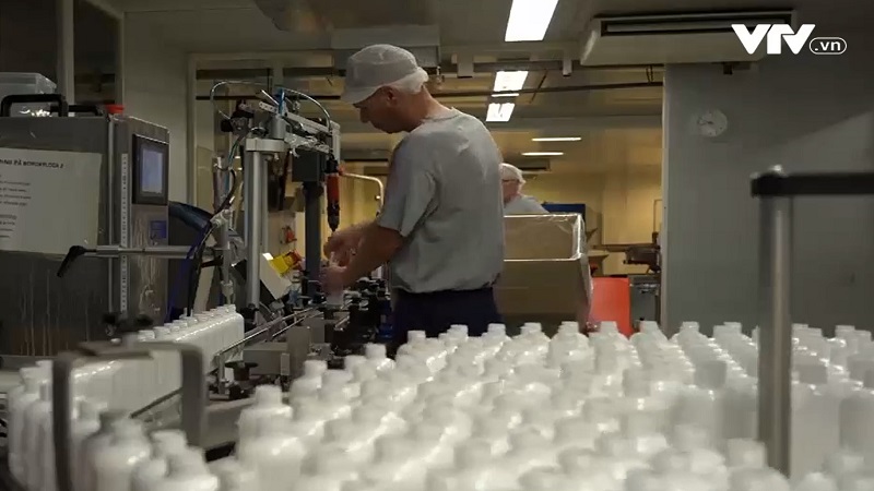 Sử dụng vi tảo hấp thụ khí CO2