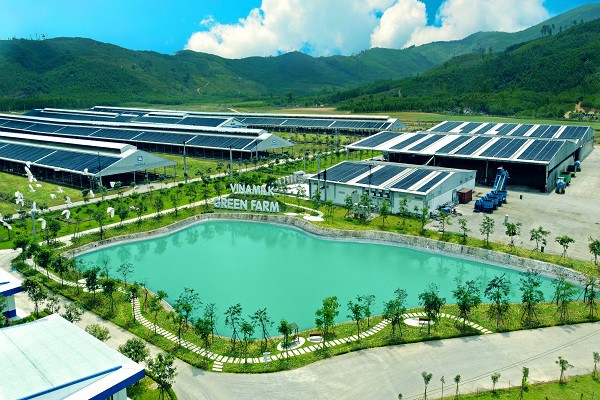 Vinamilk được trao nhiều giải thưởng quốc tế cho những nỗ lực thúc đẩy CSR và ESG tại Việt Nam Vinamilk được trao nhiều giải thưởng quốc tế cho những nỗ lực thúc đẩy CSR và ESG tại Việt Nam