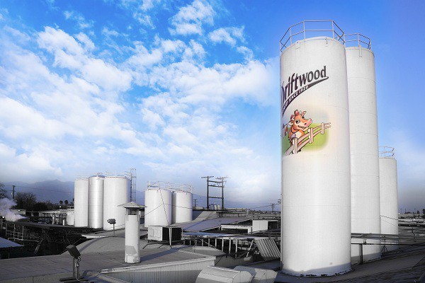 Vinamilk tăng vốn đầu tư cho Angkormilk tại Campuchia lên 42 triệu USD Vinamilk tăng vốn đầu tư cho Angkormilk tại Campuchia lên 42 triệu USD