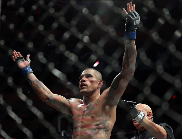 Những điểm nhấn tại UFC 281: Pereira là khắc tinh của Adesanya - Ảnh 3. Những điểm nhấn tại UFC 281: Pereira là khắc tinh của Adesanya - Ảnh 3.