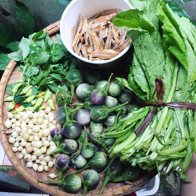 Cá lăng - Tuyệt phẩm ẩm thực của sông Sêrêpôk - Ảnh 8. Cá lăng - Tuyệt phẩm ẩm thực của sông Sêrêpôk - Ảnh 8.