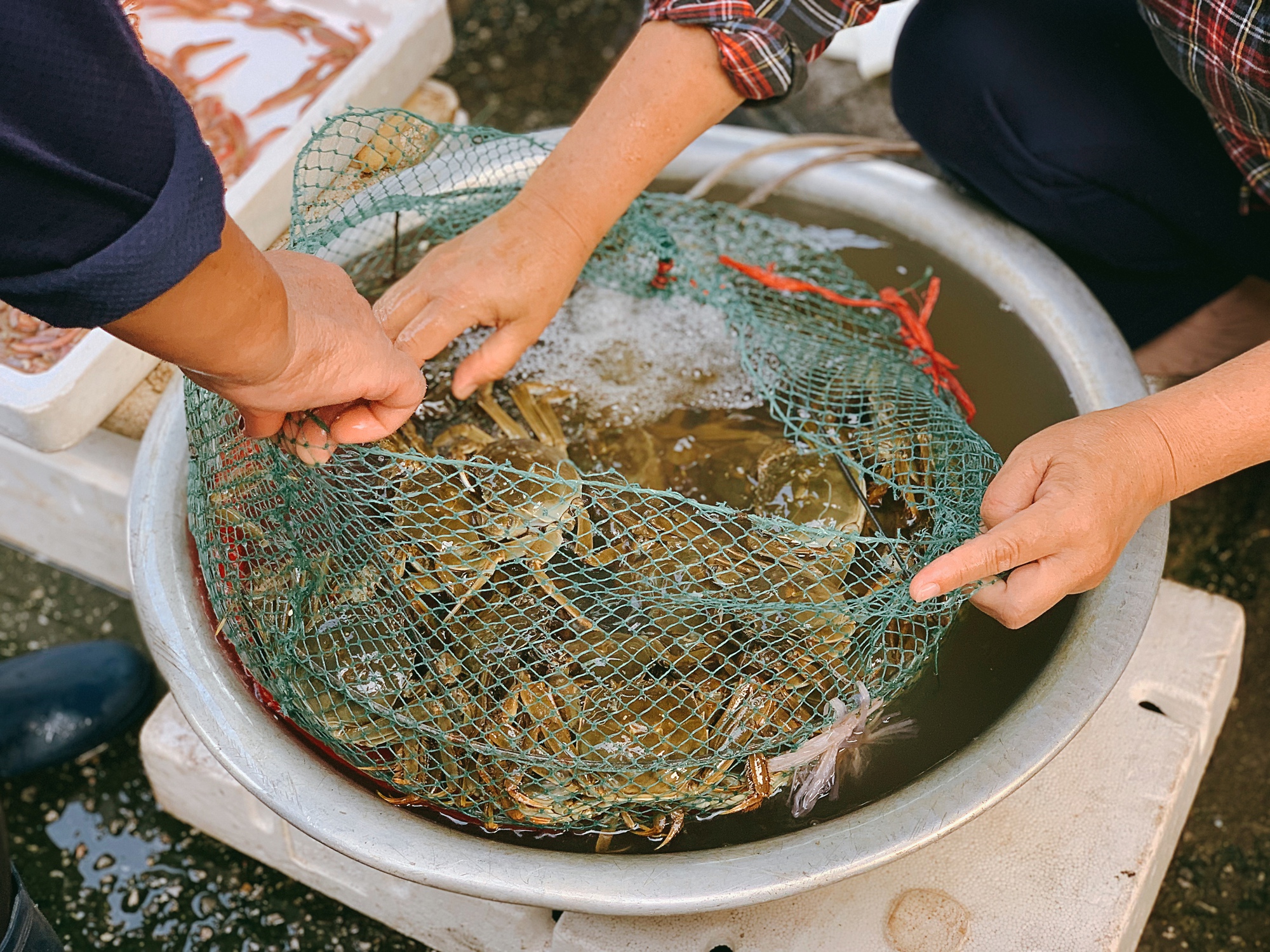 Hải Dương có một món cua đặc biệt: ở nước ngoài thì tiền triệu, về đây chỉ 300k ăn mệt nghỉ - Ảnh 4.