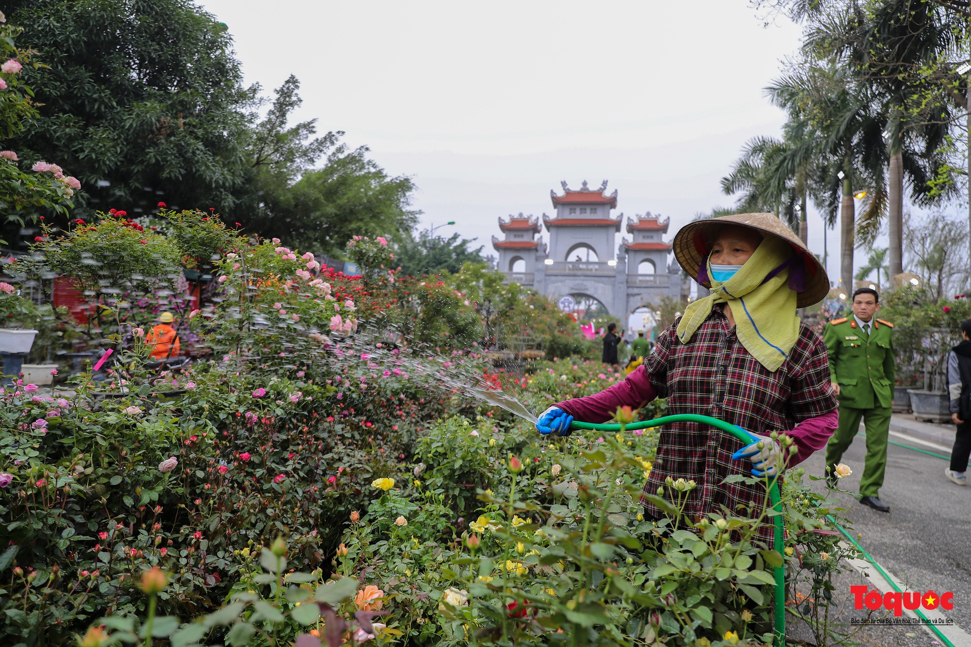 Người dân Mê Linh tất bật cho Festival hoa đầu tiên - Ảnh 8.