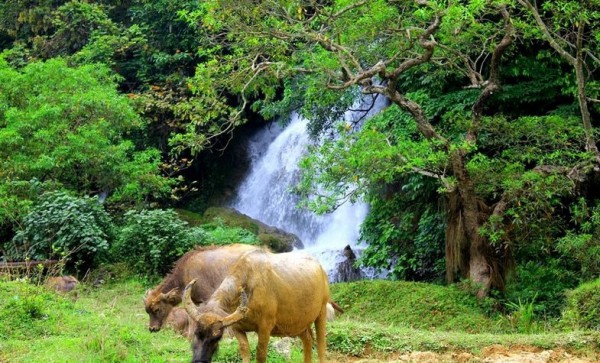 8 cung đường tuyệt đẹp khiến các tín đồ trekking 