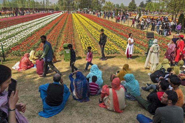 Ấn Độ thành công đưa khu vực biên giới căng thẳng thành điểm "nóng" du lịch  - Ảnh 1.