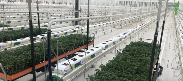 Du lịch bền vững lọt top 6 xu hướng phát triển xanh vào năm 2023 - Ảnh 1.