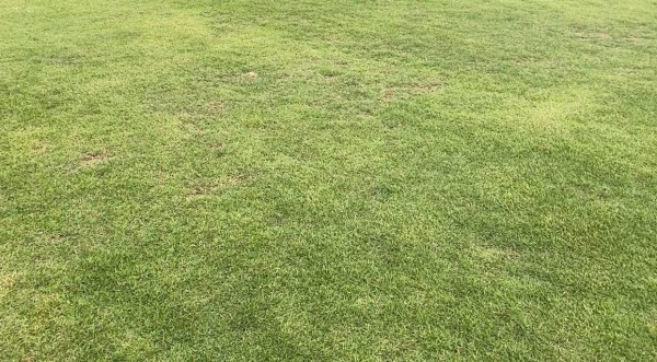 AFF Cup 2022: Tuyển Việt Nam tập trên sân mới xây tại Lào, thầy Park ưu tư