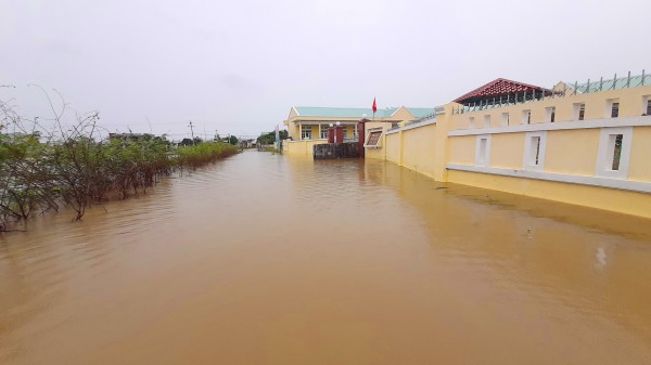 Bình Định: Ngập lụt vùng hạ lưu sông Kôn, hàng trăm học sinh nghỉ học Bình Định: Ngập lụt vùng hạ lưu sông Kôn, hàng trăm học sinh nghỉ học