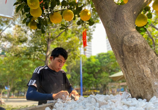 Bưởi Diễn vượt nghìn km vào TP.HCM, nhiều người nhanh chân đặt mua sớm chơi Tết