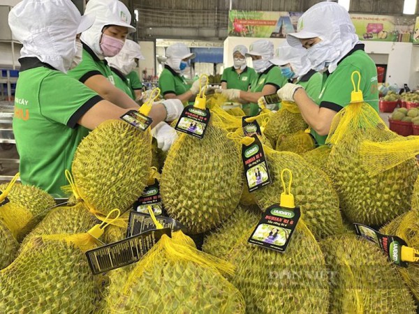 CEO Công ty Chánh Thu: Sẽ không còn khái niệm thị trường dễ tính