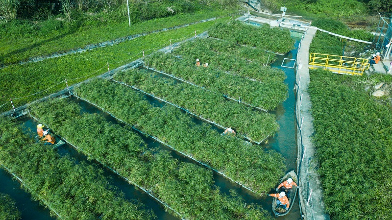 Chìa khóa để doanh nghiệp Việt vượt lên thách thức