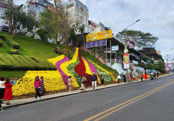 Đà Lạt vào hội hoa