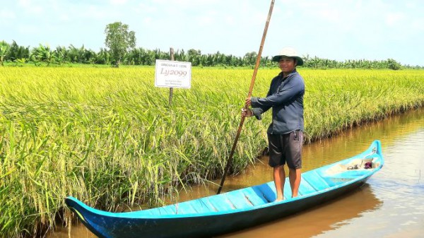 Đẩy mạnh ứng phó với biến đổi khí hậu khu vực ven biển