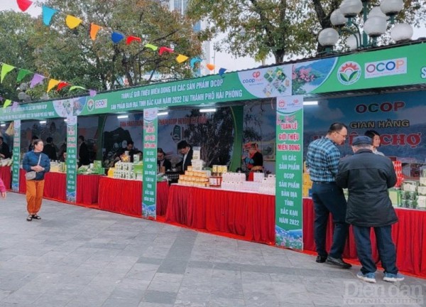 Doanh nghiệp Hải Phòng “kích cầu” cho thị trường bán lẻ