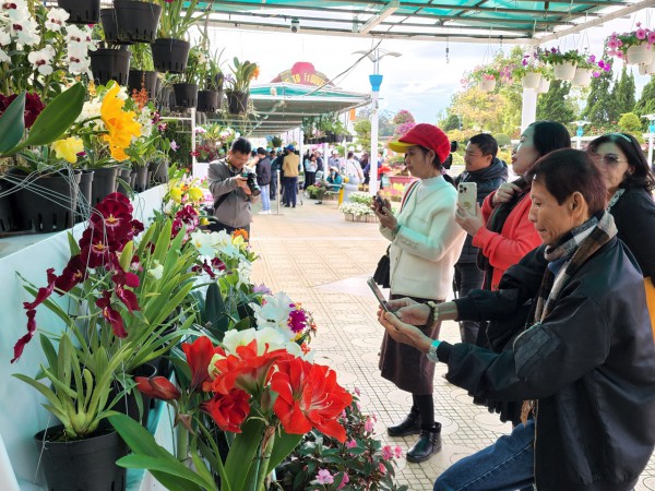 Hoa Đà Lạt xuống phố, du khách tấp nập thưởng lãm