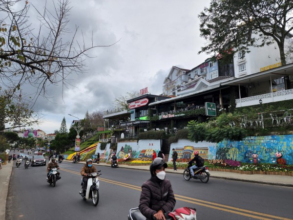 Hoa Đà Lạt xuống phố, du khách tấp nập thưởng lãm