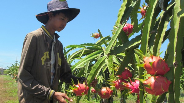 Kỳ họp HĐND tỉnh Bình Thuận: Gỡ nút thắt 