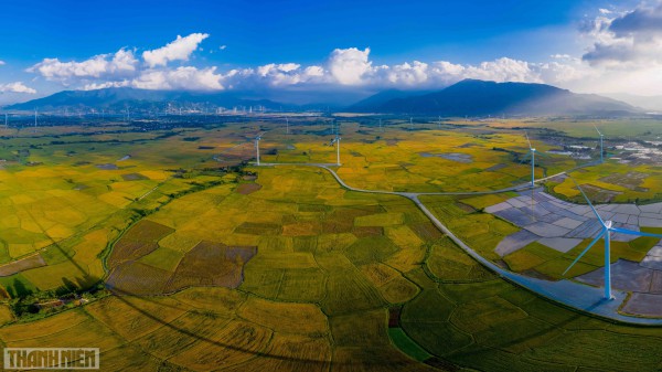 Những mảng màu kỳ diệu trên cánh đồng điện gió Phan Rang