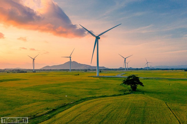 Những mảng màu kỳ diệu trên cánh đồng điện gió Phan Rang