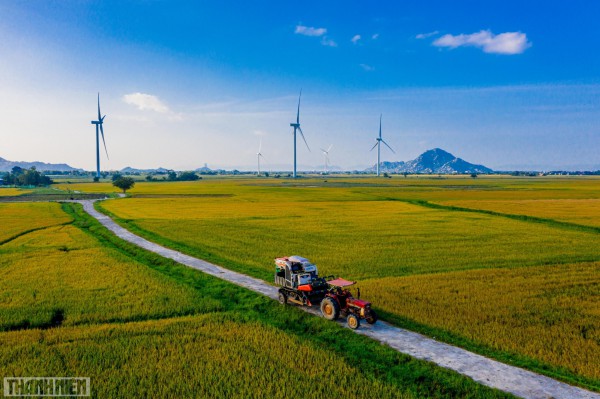 Những mảng màu kỳ diệu trên cánh đồng điện gió Phan Rang