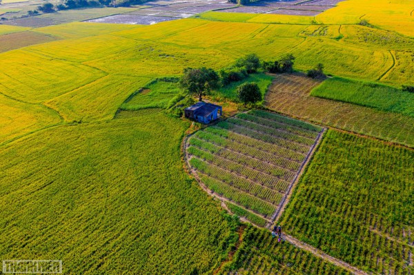 Những mảng màu kỳ diệu trên cánh đồng điện gió Phan Rang