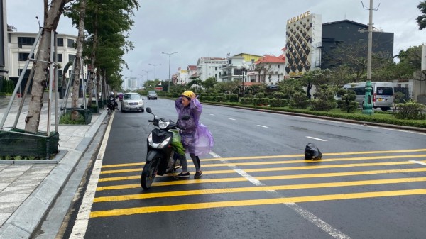 Phú Yên: Gió mùa đông bắc giật ngã hoa vụ tết, xe máy người đi đường Phú Yên: Gió mùa đông bắc giật ngã hoa vụ tết, xe máy người đi đường