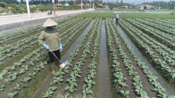 Quảng Ninh: Bảo vệ nguồn nước để phát triển bền vững