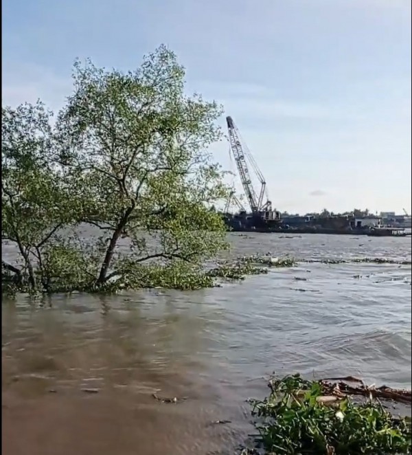 Sạt lở kinh hoàng ở Vĩnh Long, 12 nhà dân rơi xuống sông Cổ Chiên