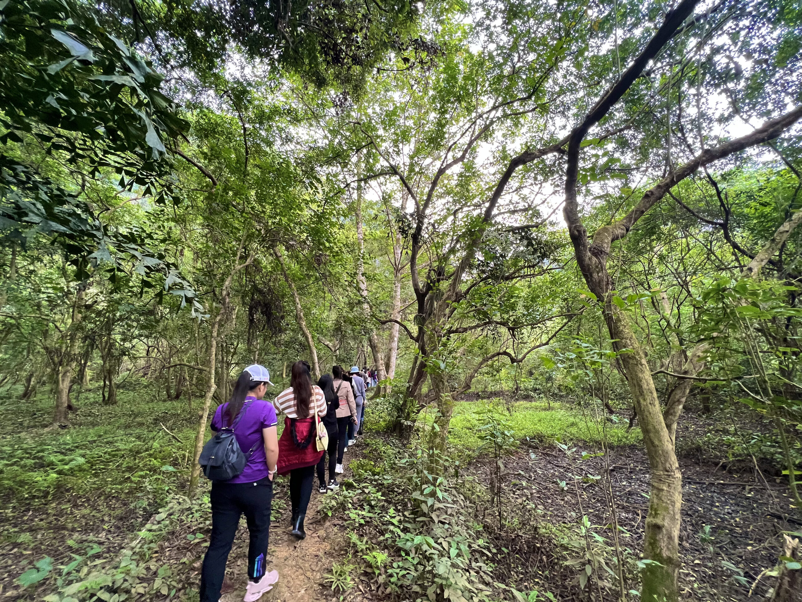 Thăm vùng lõi di sản Tràng An, thúc đẩy các tour du lịch liên kết các tỉnh đồng bằng sông Hồng