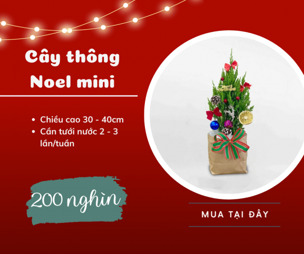 Trang trí phòng khách đón Noel với chi phí chưa đến 2 triệu đồng