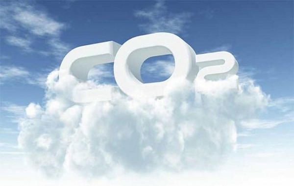 Vai trò thiết yếu của thị trường các-bon tự nguyện