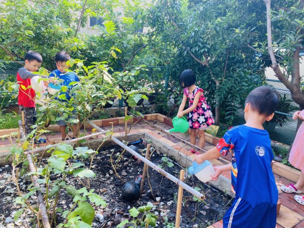 Vì sao lúc trẻ mầm non chuẩn bị ăn, chuẩn bị ngủ, không được lơ là? Vì sao lúc trẻ mầm non chuẩn bị ăn, chuẩn bị ngủ, không được lơ là?