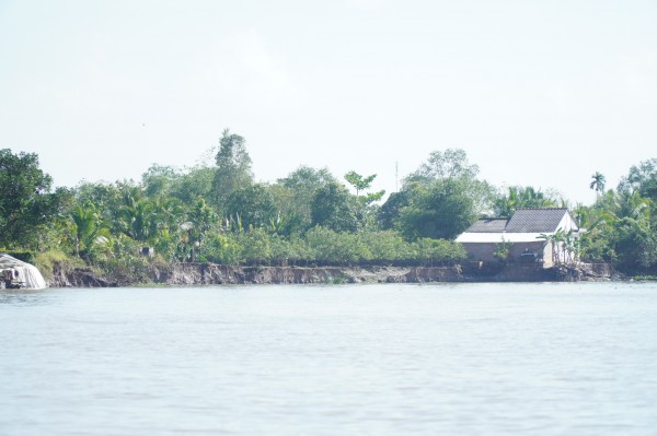 Vụ sạt lở cù lao Minh: 13 nhà, 15 ha đất rơi xuống sông Cổ Chiên