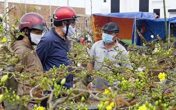 Xin chủ trương thành lập TP.An Nhơn thuộc tỉnh Bình Đình Xin chủ trương thành lập TP.An Nhơn thuộc tỉnh Bình Đình