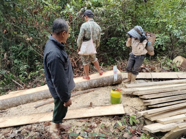 Xử phạt gần 20 triệu đồng 1 đối tượng mang cưa xăng ngang nhiên phá rừng Xử phạt gần 20 triệu đồng 1 đối tượng mang cưa xăng ngang nhiên phá rừng