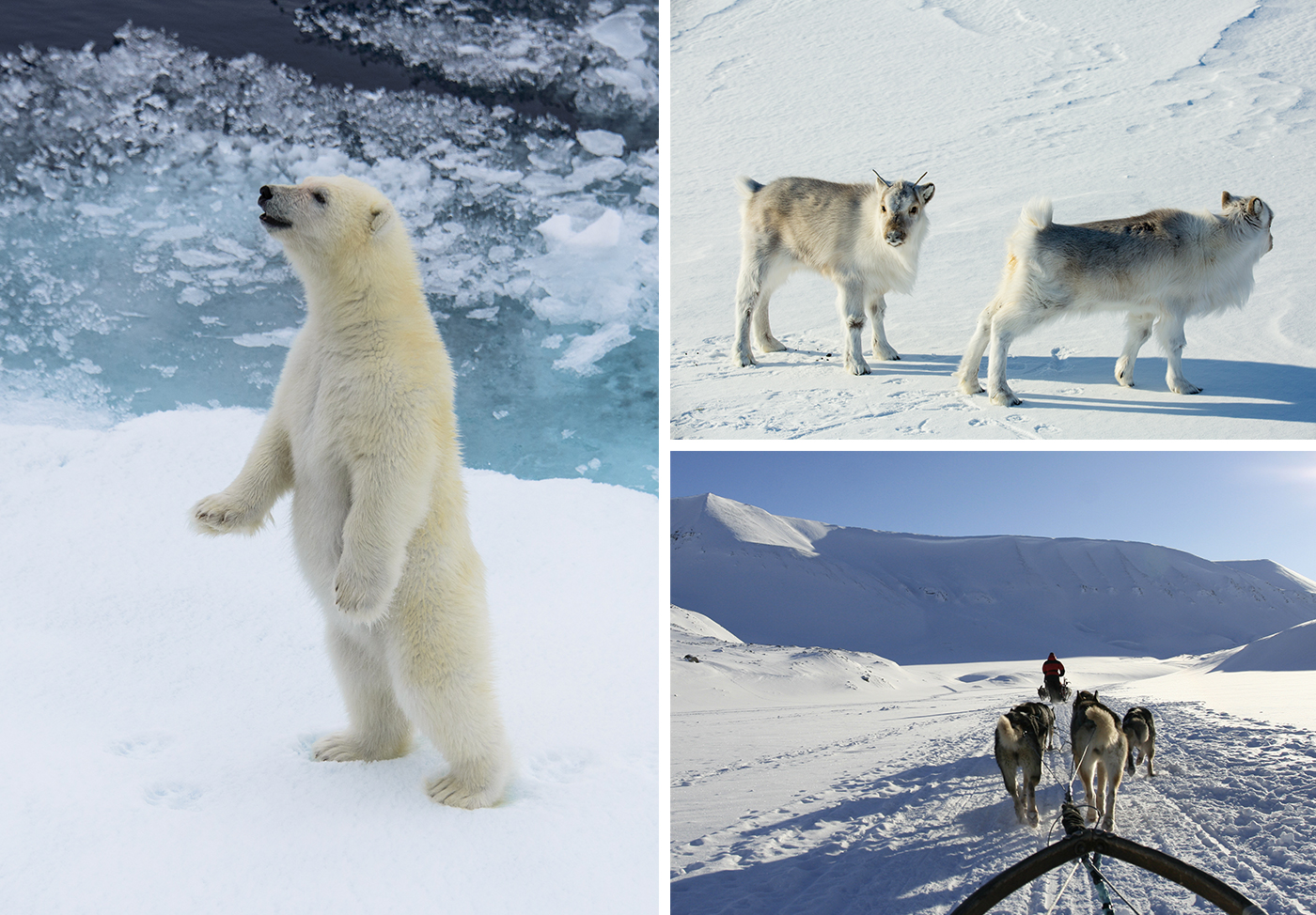Điều ít biết về thị trấn ở tận cùng cực Bắc của Trái đất, nơi người dân "không được phép chết", sống thì nơm nớp lo sợ - Ảnh 7.