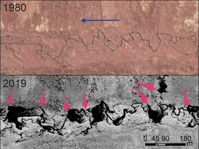 Ảnh vệ tinh cho thấy hải ly đang tàn phá vùng lãnh nguyên Alaska nhanh như nạn cháy rừng - Ảnh 2.
