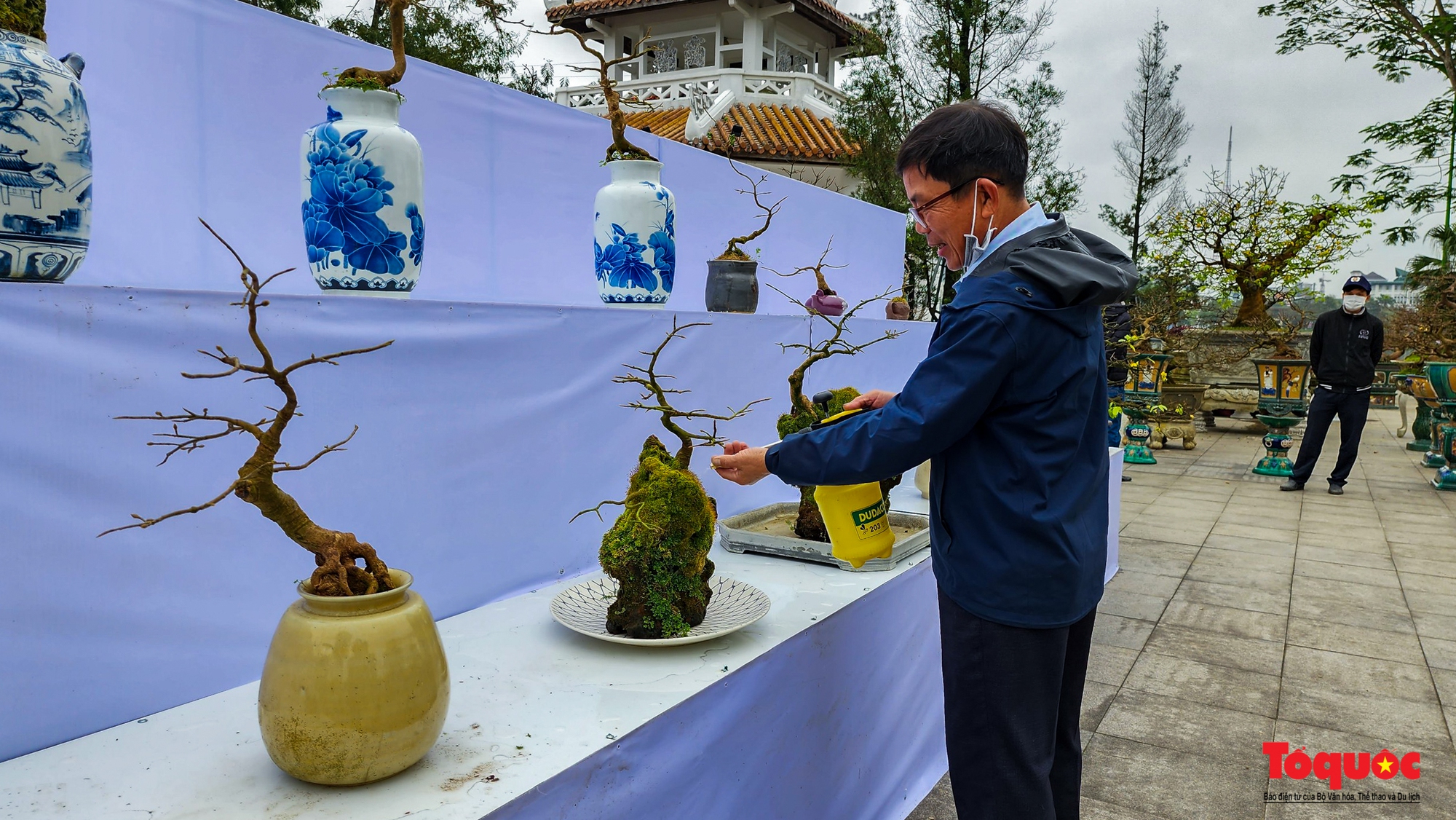 Lễ hội Hoàng mai Huế: &quot;Vắng hoa&quot;... vẫn hút khách thưởng ngoạn - Ảnh 5.