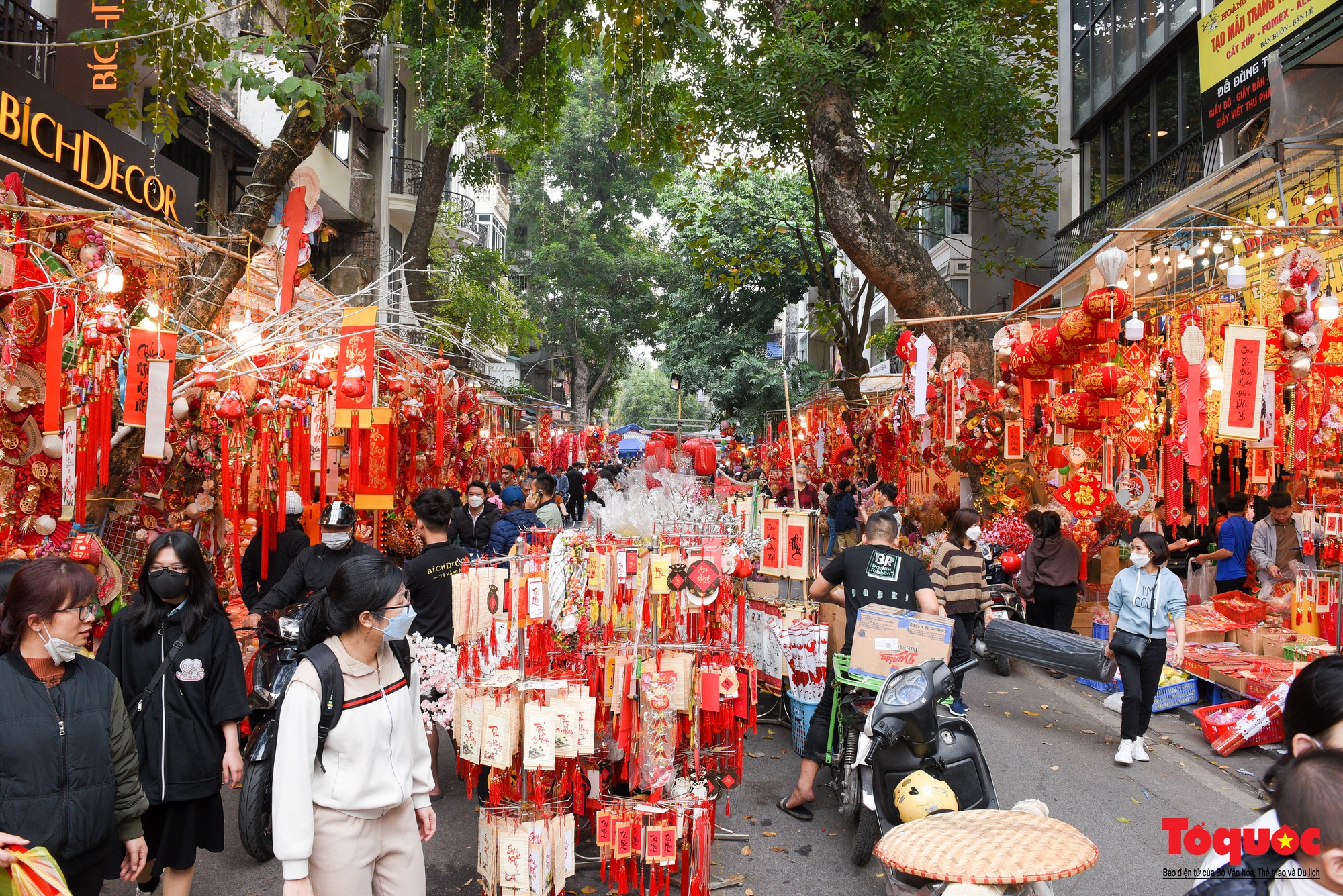 Du khách nước ngoài thích thú với chợ hoa Hàng Lược - Ảnh 15.